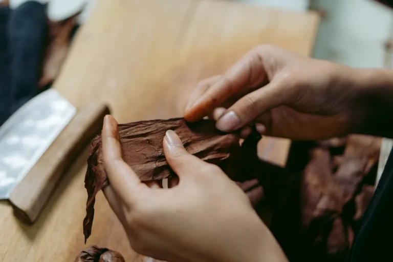 Revisi About Us (10)